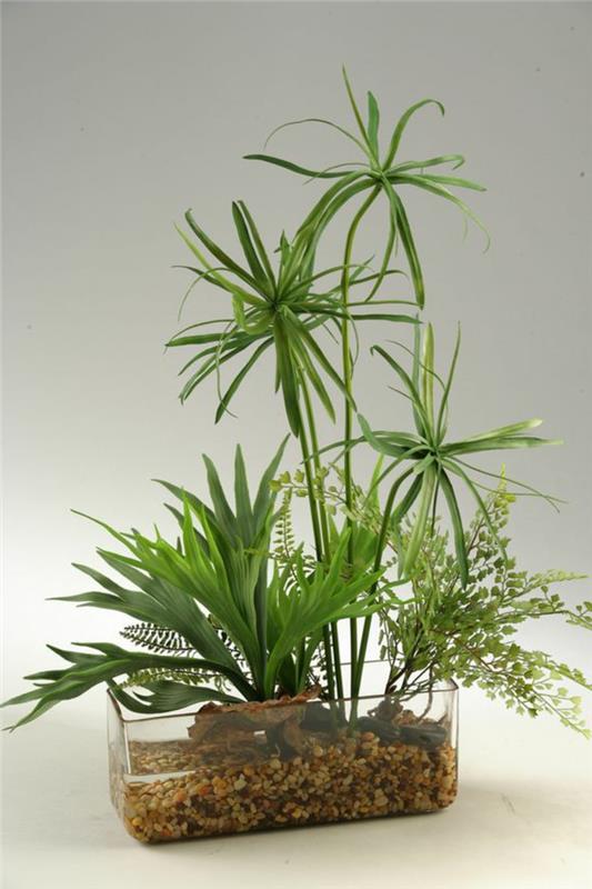 kambariniai žali augalai, vidutinio dydžio papirusas, skaidrus organinio stiklo indas, žalias vonios kambarys, vonios augalas