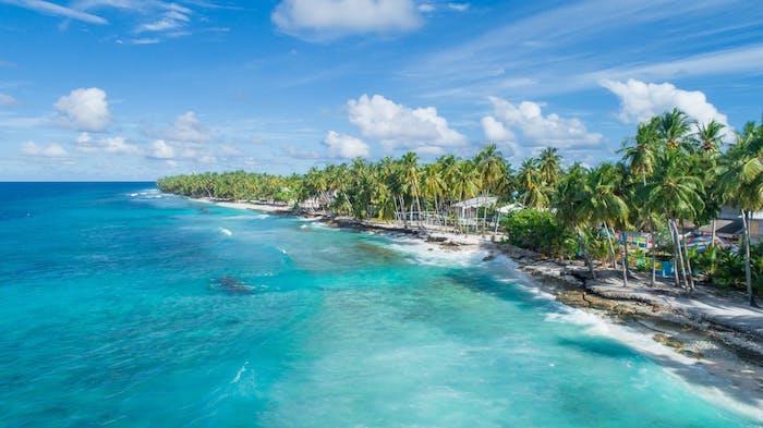 Okyanus mavisi, Reunion adalarının güzelliği, palmiye ağaçları ve plaj plajı duvar kağıdı, yaz görüntüsü, orijinal duvar kağıdı
