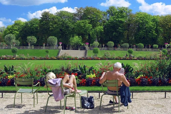 Čudovita pokrajina, uživajte v sončnih žarkih spomladi v pariških vrtovih, v cvetočih spomladanskih slikovnih ozadjih