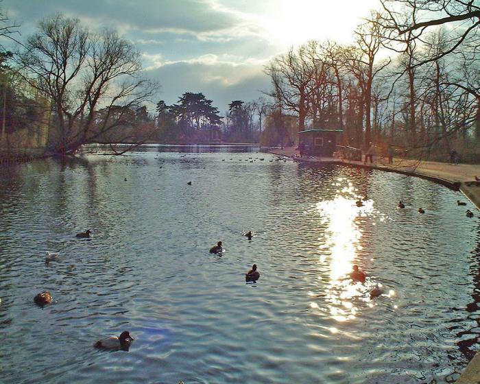 parc-floral-de-vincennes-joli-lake-in-the-park-Vincennes