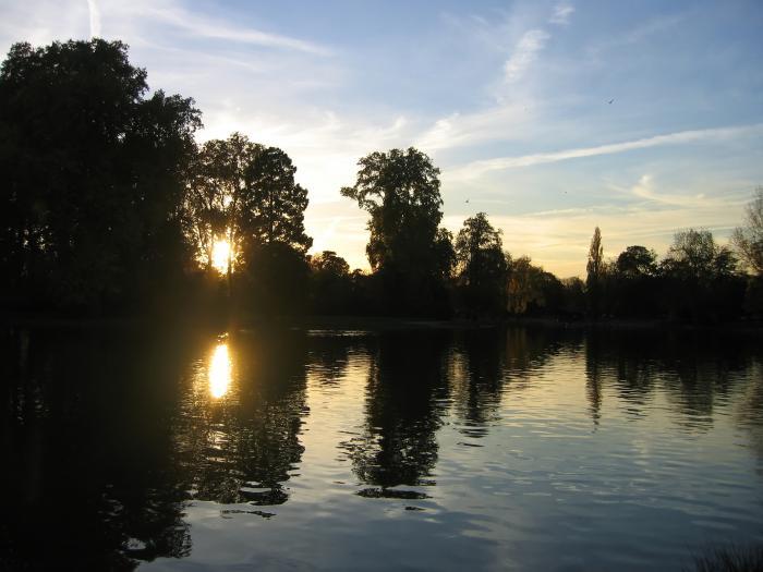Parc-floral-de-vincennes-view-of-the-Bois-de-Vincennes