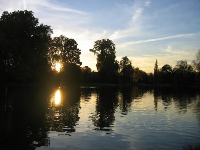 Parc-floral-de-vincennes-of-the-Bois-de-Vincennes