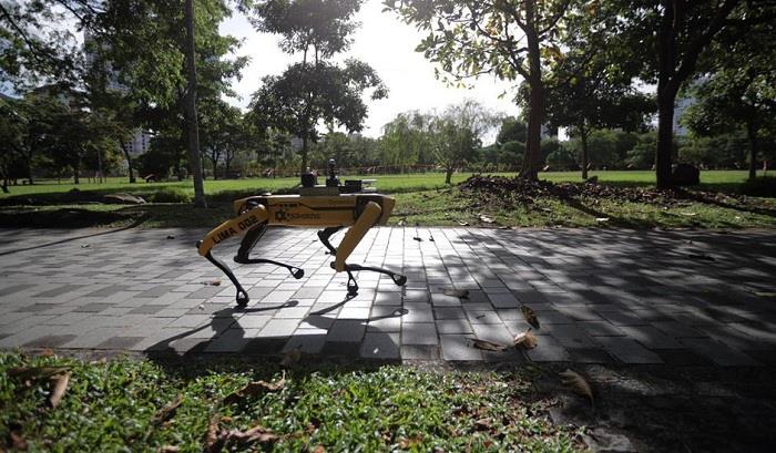 Singapur naroča robotu Spot, naj v enem od svojih parkov uveljavi pravila socialne distanciranja v zvezi s koronavirusom.