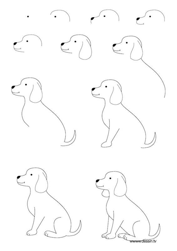 Kako narisati srčkanega psa, risarsko predlogo, idejno podobo tehnične perspektive risbe