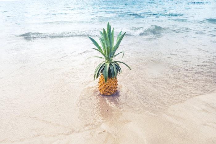 moški parfum za poletje top 5 parfumov ananas ob morskih simbolih poletja