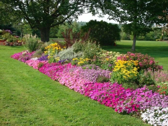 çiçeklik sınırı, petunyalar ve diğer çiçekler, çimenler, ağaçlar, geniş bir bahçenin nasıl düzenleneceğine dair fikir