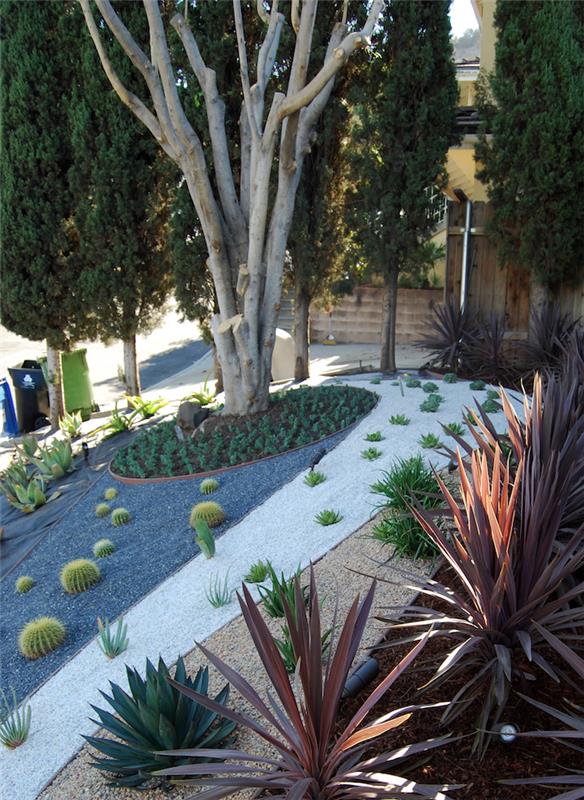 ideja vrtne dekoracije, organizacija vrta na hribu, majhne zelene rastline in kaktusi na kamenčkih in kamenčkih
