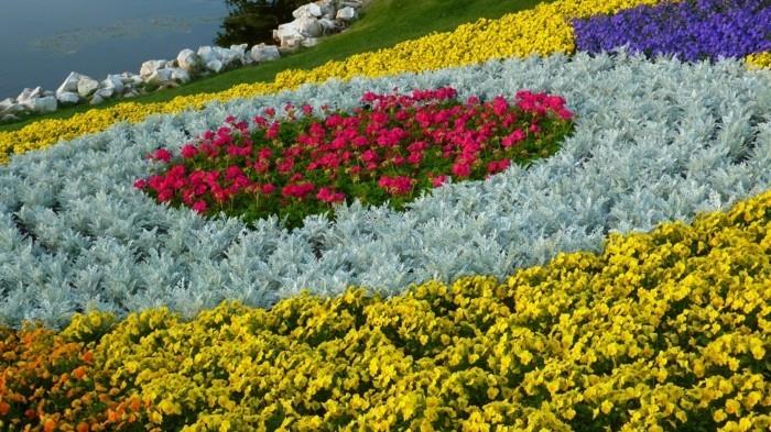 originali sodo genijaus idėja, nuožulni veja, rožinės, geltonos, oranžinės gėlės ir mėlyni krūmai, akmenys, kaip pasidaryti gėlių lovą