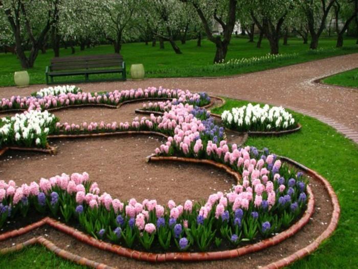 įvairių spalvų hiacintai, išdėstyti įvairiomis formomis, idėja, kaip sutvarkyti prancūzišką sodą