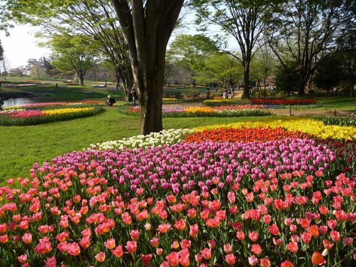 dış mekan dekoru, park, ağaçlar, çiçek adaları, çiçeklik nasıl yapılır, ilginç bahçe dehası fikri