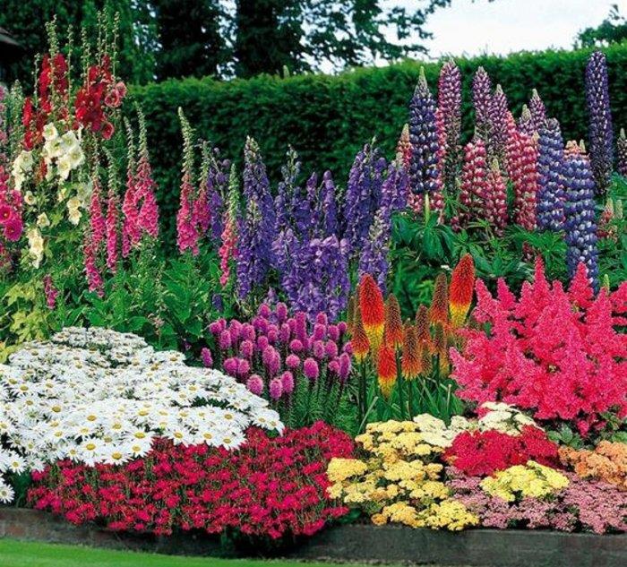 izvirna vrtna genialna ideja, gredica, različne vrste cvetja, različnih velikosti in barv, vrtna deko ideja