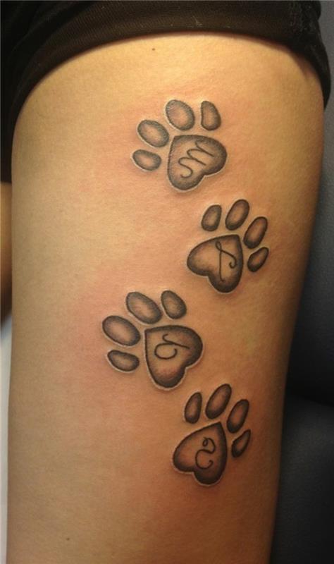 tetovaža mačje šape, tace v obliki srca, tetovaže živali