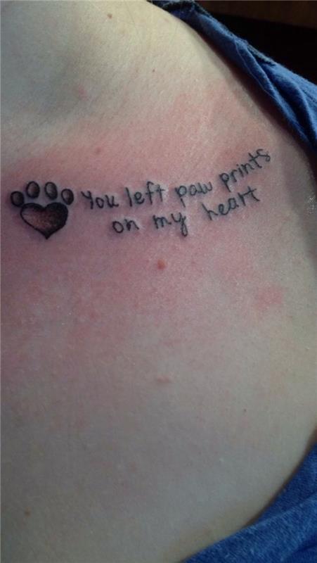 tetovaža mačje šape, sentimentalni scenarij, ki izraža ljubezen do svoje mačke