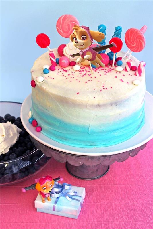 Pençe devriyesi Gökyüzü doğum günü pastası resmi, komik sevimli hayvan doğum günü pastası