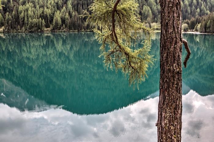 tapetai natūralus fonas su žaliu kraštovaizdžiu prie ežero ir spygliuočių medžių miško, ežero kraštovaizdis su dangaus atspindžiais