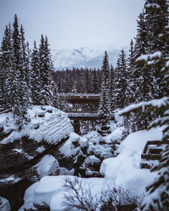 „iPhone“ tapetai su žiemos peizažu, nuotrauka su eglėmis ir snieguotais kalnais mobiliesiems tapetams