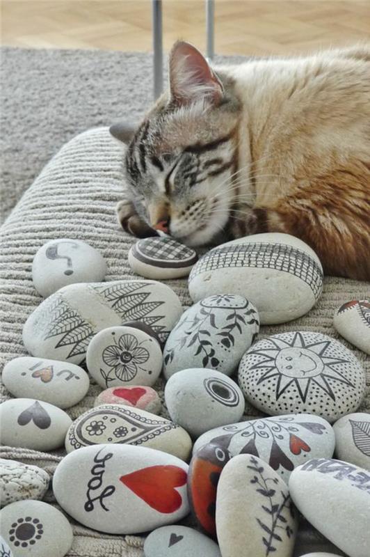 dažyti akmenukus, miegančią katę ir kelis dekoruotus akmenukus