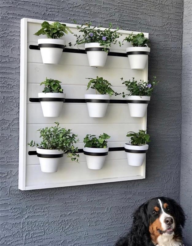 bitkiler ve otlar için kendin yap duvar saklama fikri, duvar saksısı saksı stili örneği