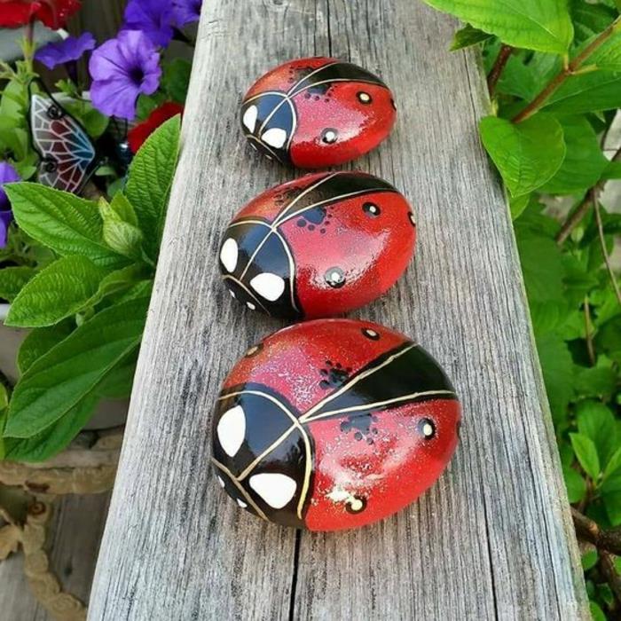 çakıl boyama, bahçe dekorasyonu için üç kırmızı uğur böceği