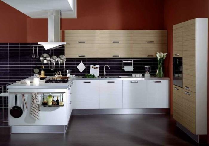 paint-for-splashback-kitchen-splashback-nerūdijančio plieno-virtuvė