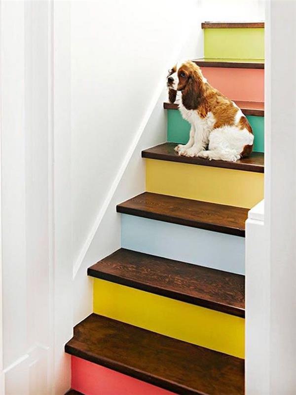 barva za lesene stopnice v različnih barvah bele stene srčkan pes
