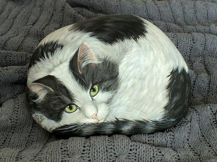 çakıl boyama, süper gerçekçi siyah beyaz kedi yavrusu