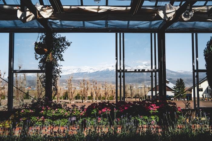 köye ve dağa doğru güzel manzaralı pergola