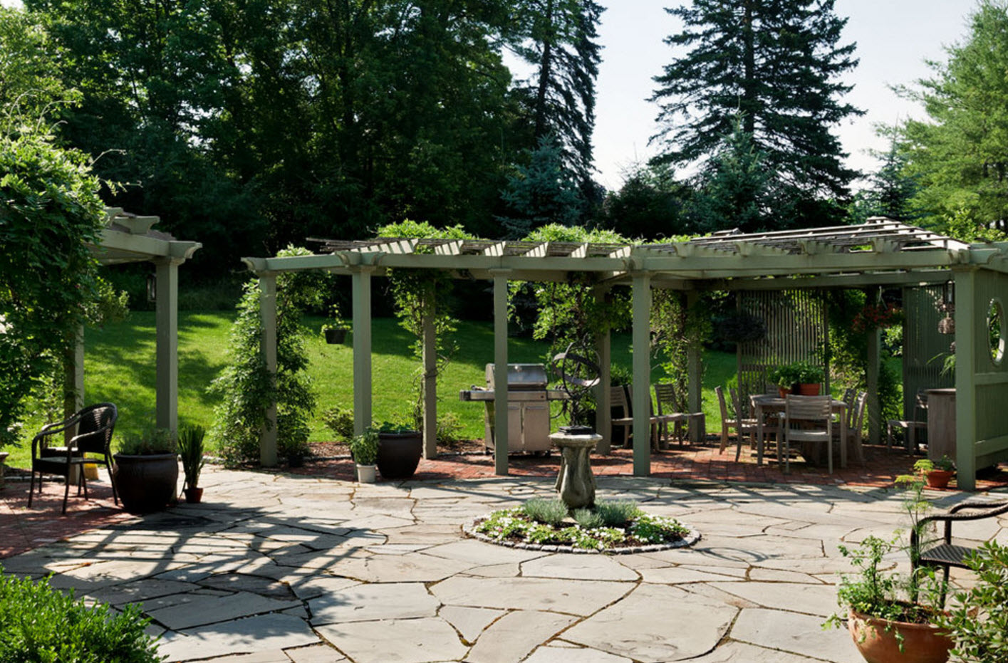 Pérgola entrelazada con vegetación