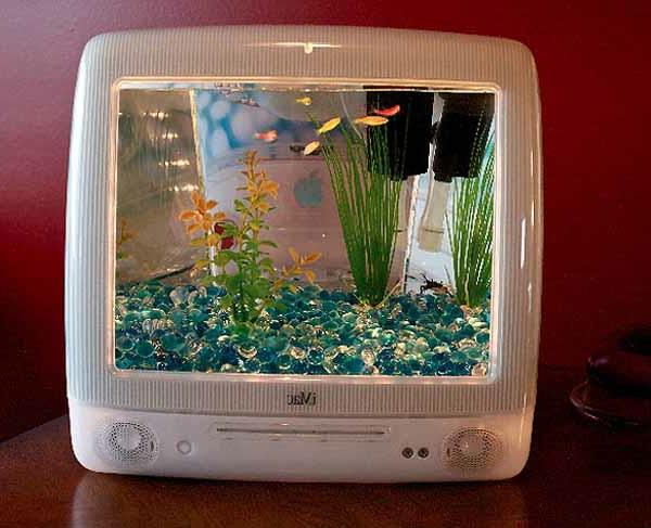 televizija z majhnim akvarijem