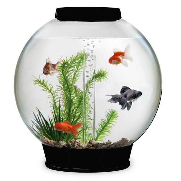 mali-akvarij-design-1rond