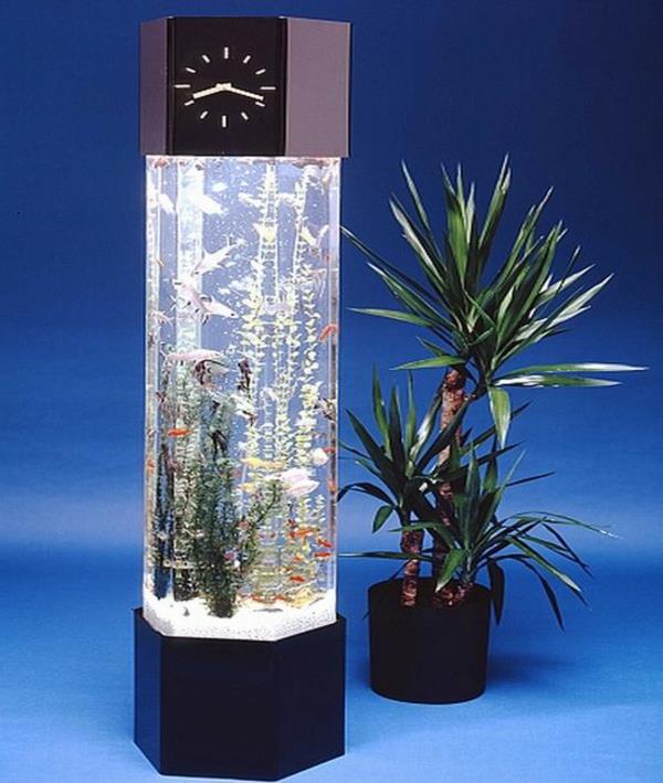 mali-akvarij-design-a-ura