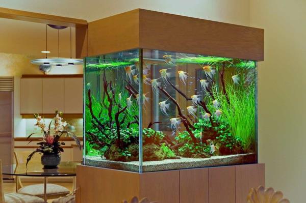 majhen-akvarijski dizajn-zelo eleganten