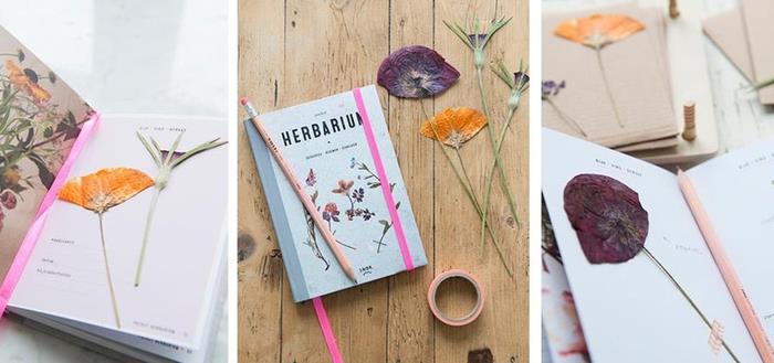izvirna ideja za izdelavo izvirnega žepnega herbarija z risbami z rastlinskimi motivi in ​​kolažem iz suhega cvetja