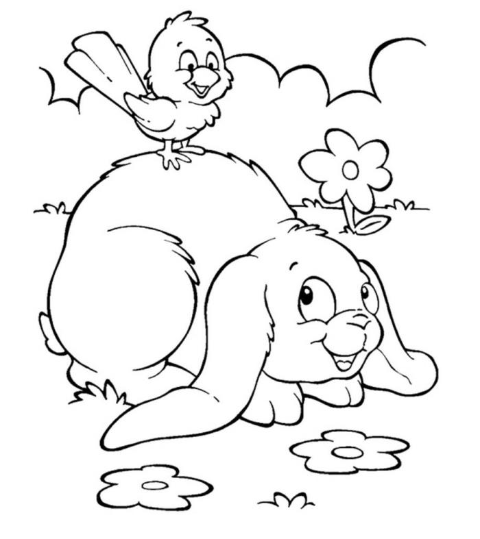 paskalya tavşanı çocuklar için kolay çizim, doğada tavşan ve kuş hayvanlarla kolay yazdırılabilir illüstrasyon