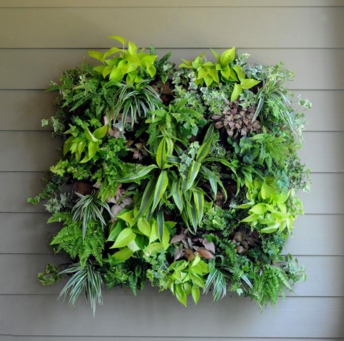 žalia siena, maža žalia aikštė su gyvais augalais, originali sienų apdaila