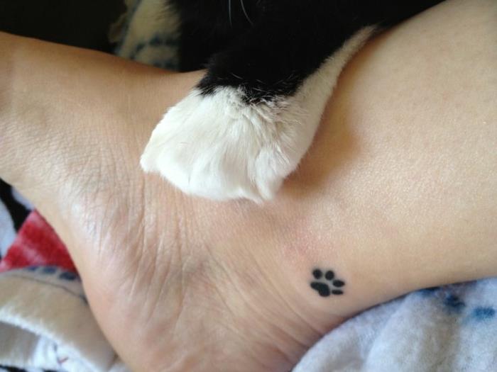 majhna diskretna tetovaža, tetovirana mačja tačka in mačja šapa v črno -beli barvi