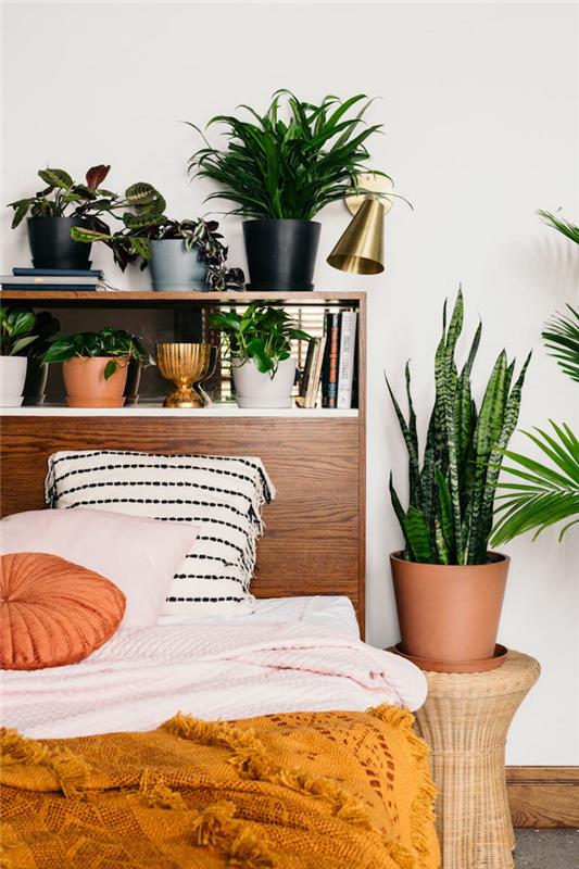 Vintage bohem yatak odası mobilyası dekoru, kirletici ve modern iç mekan bitkisi, yeşil bitkiler, palmiye ağaçları ve diğerleri