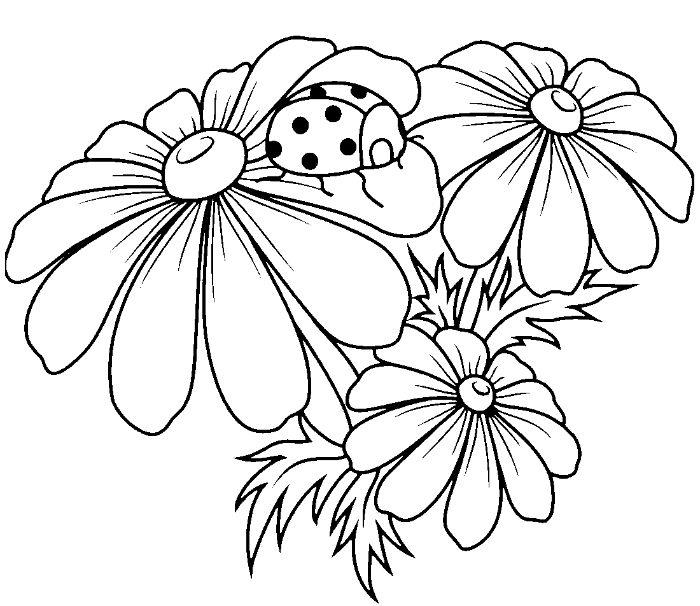 preprosta cvetlična risba z pikapolonico na cvetnem listu, pobarvanke za malčke