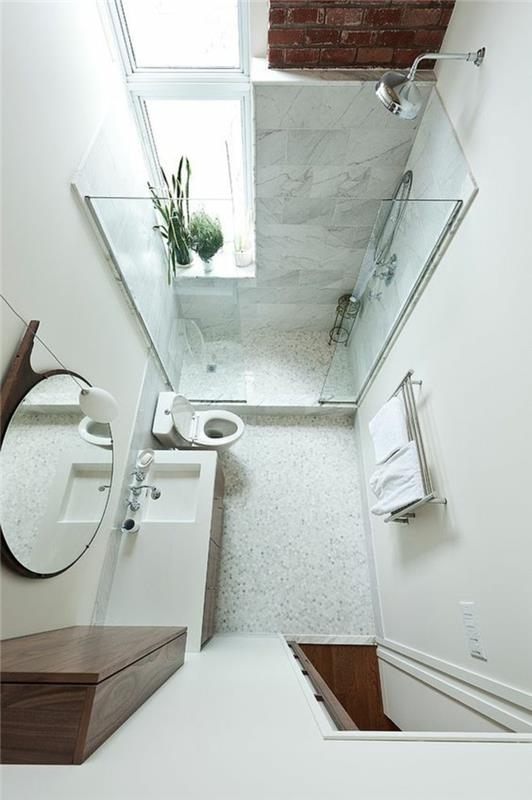 vonios kambarys mažas itališkas dušas permatomas stiklas aukštomis lubomis