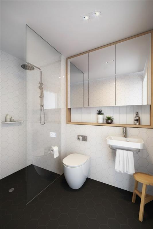 majhna kopalnica z italijansko prho in velika omara za shranjevanje z ogledalnimi vrati