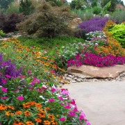 Grande giardino fiorito con petunia
