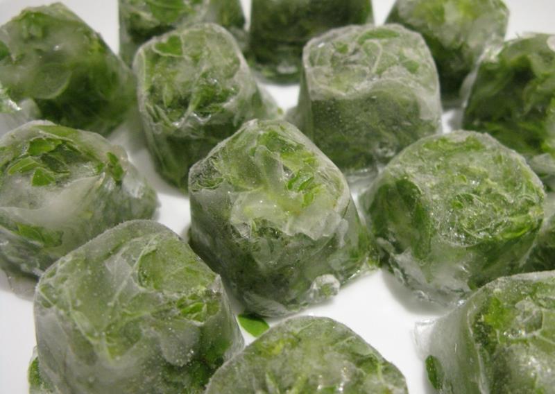 lahko zamrznemo solato zelene ledene kocke solate