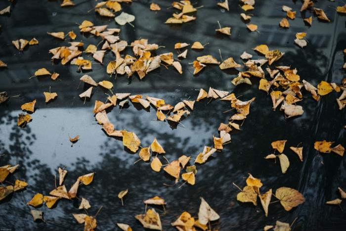 Sarı sonbahar yaprakları, sevgililer günü görüntüsü, sosyal ağlardaki kişilerin romantik sevgililer günü kalp görüntüsü dönemi, nostaljik yağmur