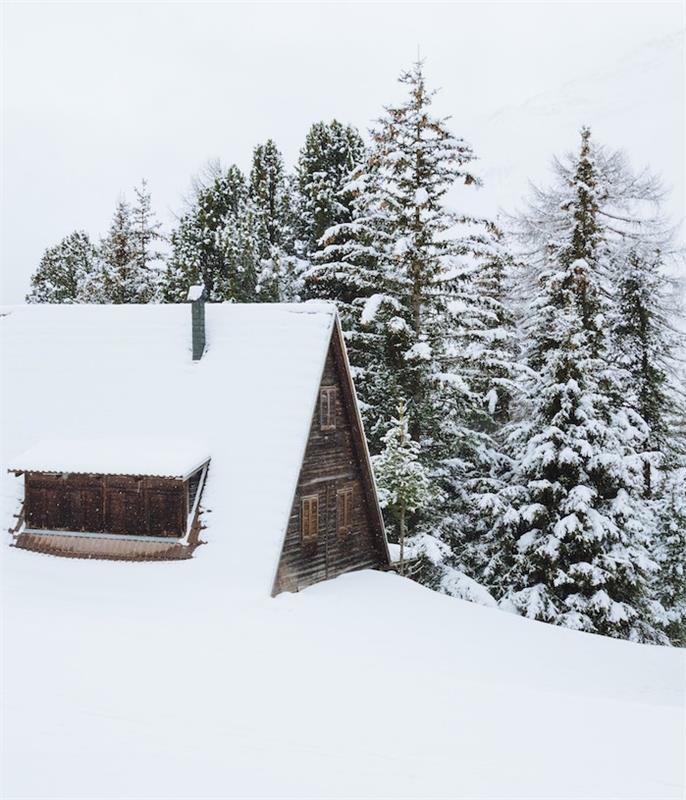 nuotrauka medinė trobelė, palaidota po sniegu kalne ir pušys, padengtos gausiu sniegu