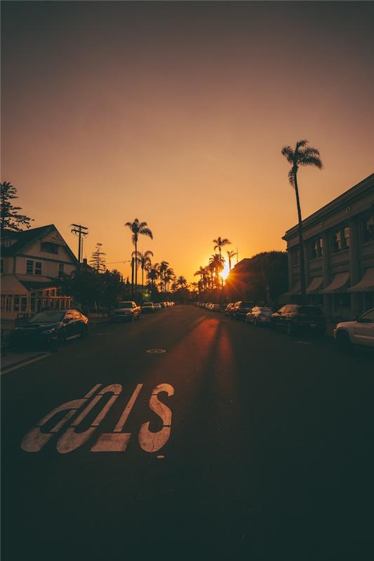 Palmiye ağaçları, manzara resmi, şık duvar kağıdı, güzel manzara duvar kağıdı ile California sokak günbatımı