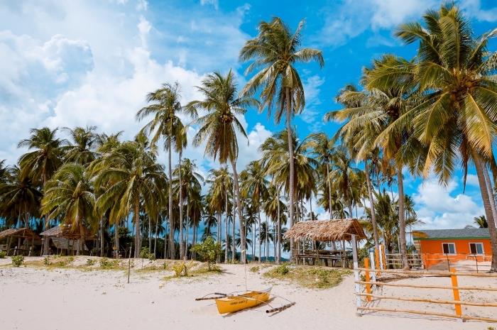 egzotiški tapetai, tropinės salos nuotrauka su mėlynu dangumi ir palmėmis paplūdimyje su auksiniu smėliu su mažu mediniu namu