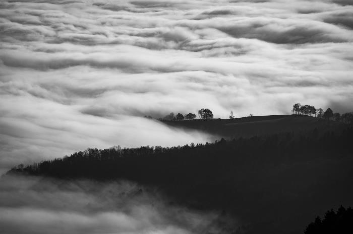 najlepše krajinske podobe narave, lep črno -beli posnetek oblakov, ki plavajo nad gozdom