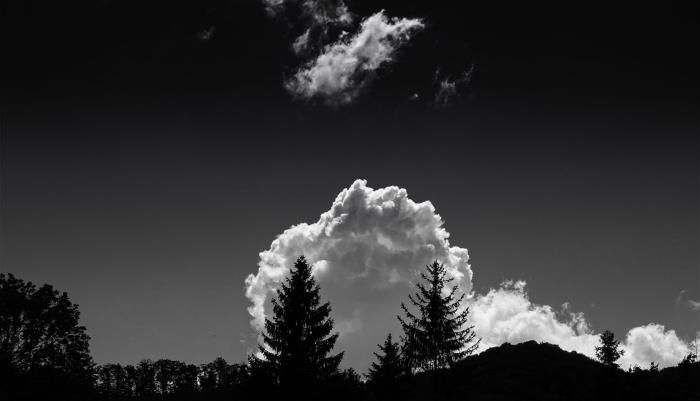 čudovita črno -bela podoba belega bombažnega oblaka nad gozdom, ki izstopa na ozadju temno sivega neba