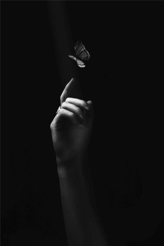 sanatsal-fotoğraf-poster-siyah-beyaz-reprodüksiyon-kelebek