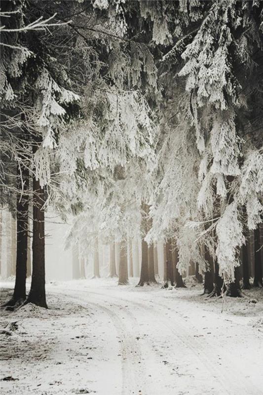 kış-fotoğrafları-kar-dağ-arka plan-fotoğraf-duvar kağıdı-kış-kar-ağaçlar